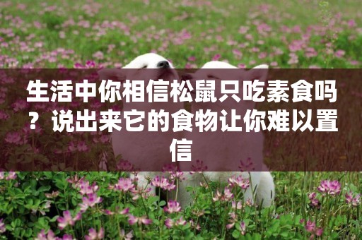 生活中你相信松鼠只吃素食嗎？說出來它的食物讓你難以置信