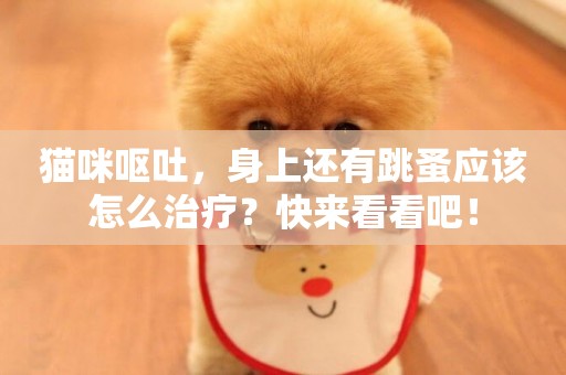 貓咪嘔吐，身上還有跳蚤應該怎么治療？快來看看吧！