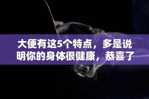 大便有這5個特點，多是說明你的身體很健康，恭喜了