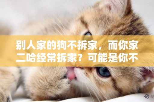 別人家的狗不拆家，而你家二哈經常拆家？可能是你不了解你的狗