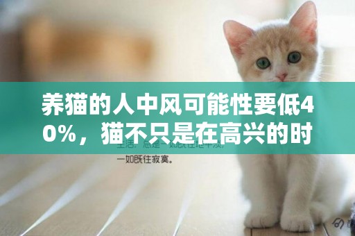 養貓的人中風可能性要低40%，貓不只是在高興的時候才發出咕嚕聲