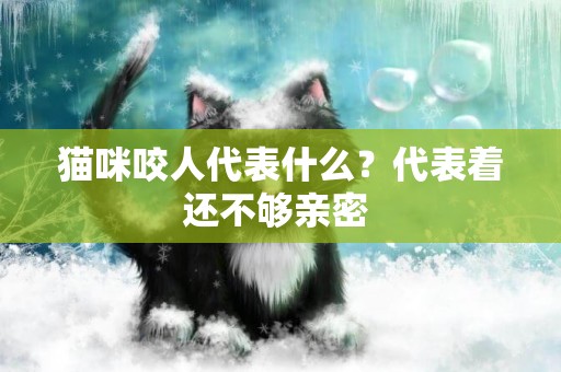 貓咪咬人代表什么？代表著還不夠親密 