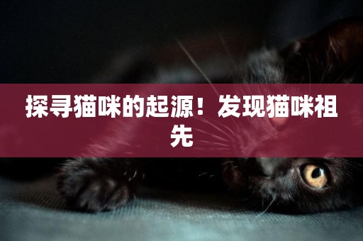 探尋貓咪的起源！發現貓咪祖先