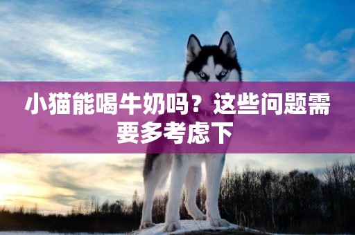 小貓能喝牛奶嗎？這些問題需要多考慮下 