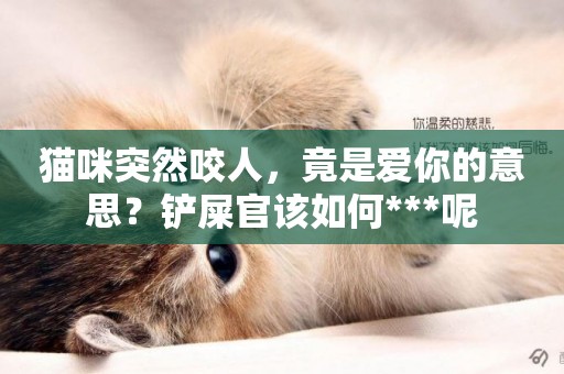 貓咪突然咬人，竟是愛你的意思？鏟屎官該如何***呢