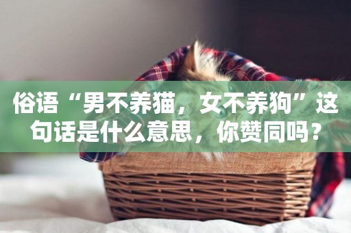 俗語“男不養貓，女不養狗”這句話是什么意思，你贊同嗎？