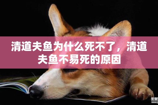 清道夫魚為什么死不了，清道夫魚不易死的原因