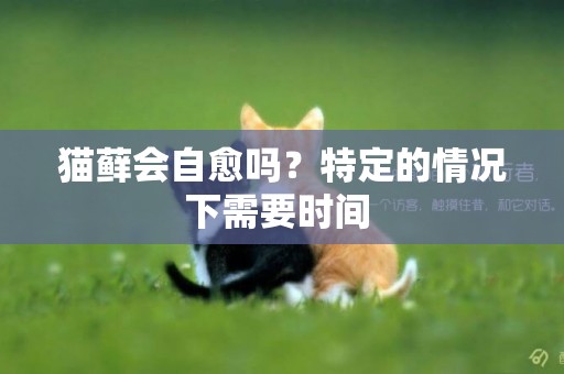 貓蘚會自愈嗎？特定的情況下需要時間 