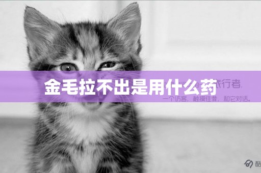 金毛拉不出是用什么藥