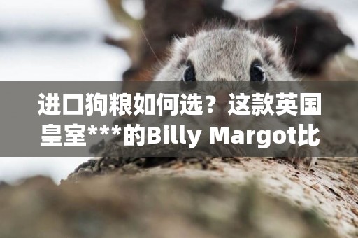 進口狗糧如何選？這款英國皇室***的Billy Margot比利瑪格千萬別錯過！
