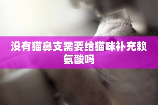 沒有貓鼻支需要給貓咪補充賴氨酸嗎
