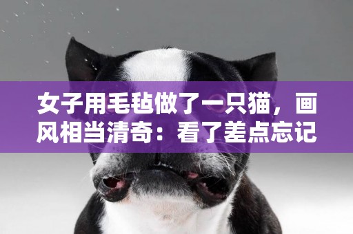女子用毛氈做了一只貓，畫風相當清奇：看了差點忘記貓長啥樣
