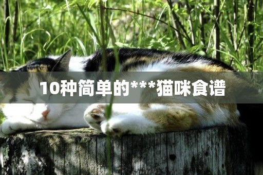 10種簡單的***貓咪食譜