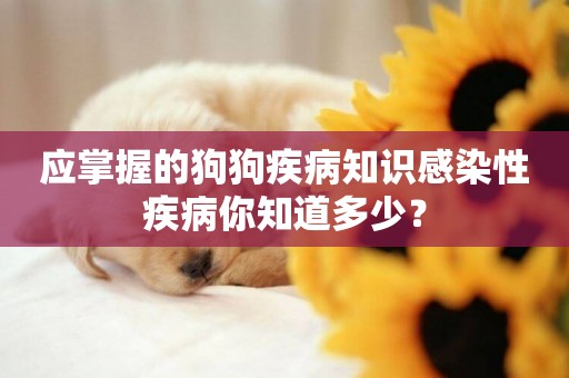 應掌握的狗狗疾病知識感染性疾病你知道多少？