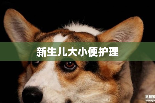 新生兒大小便護理