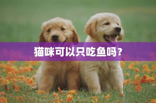 貓咪可以只吃魚嗎？