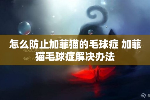 怎么防止加菲貓的毛球癥 加菲貓毛球癥解決辦法