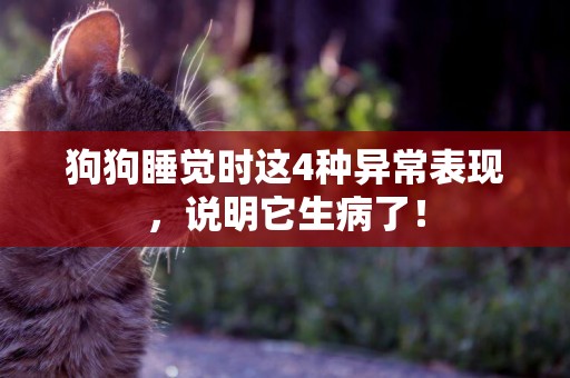 狗狗睡覺時這4種異常表現，說明它生病了！