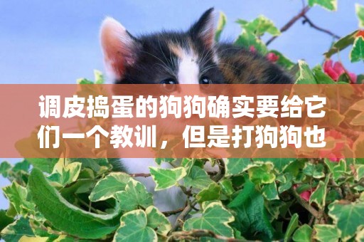 調皮搗蛋的狗狗確實要給它們一個教訓，但是打狗狗也要注意方法！