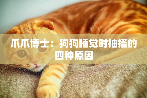 爪爪博士：狗狗睡覺時抽搐的四種原因