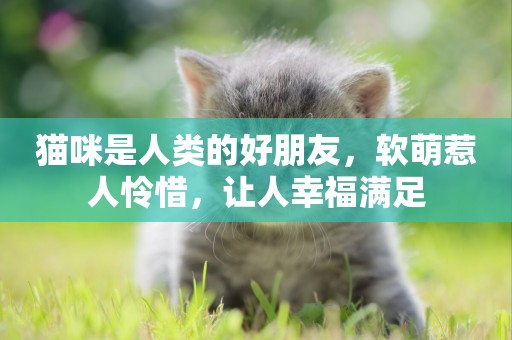 貓咪是人類的好朋友，軟萌惹人憐惜，讓人幸福滿足