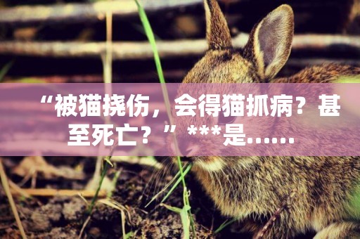 “被貓撓傷，會得貓抓病？甚至死亡？”***是……