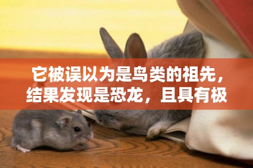 它被誤以為是鳥類的祖先，結果發現是恐龍，且具有極高的研究價值