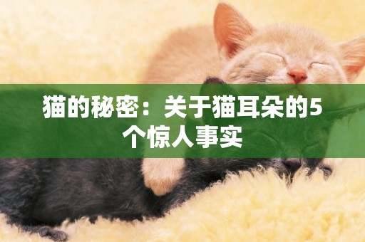 貓的秘密：關于貓耳朵的5個驚人事實