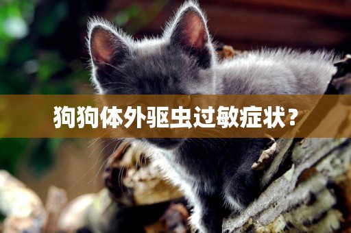 狗狗體外驅蟲過敏癥狀？