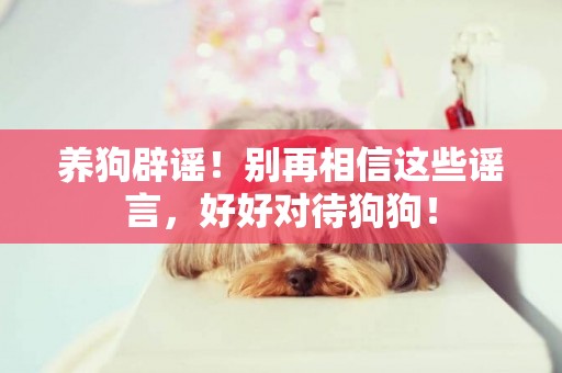 養狗辟謠！別再相信這些謠言，好好對待狗狗！