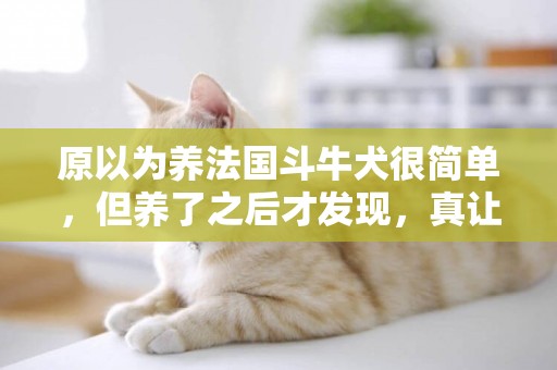 原以為養法國斗牛犬很簡單，但養了之后才發現，真讓人費心費力！