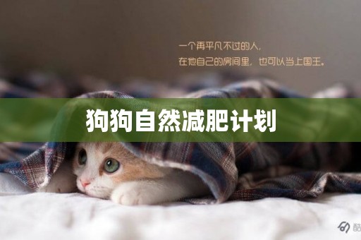 狗狗自然減肥計劃