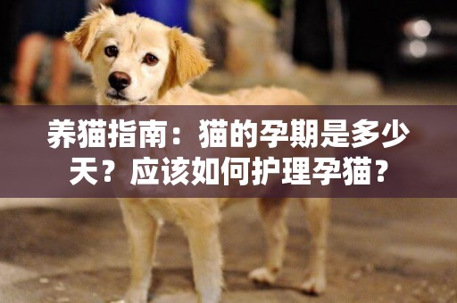 養貓指南：貓的孕期是多少天？應該如何護理孕貓？