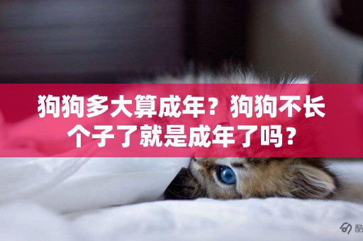 狗狗多大算成年？狗狗不長個子了就是成年了嗎？