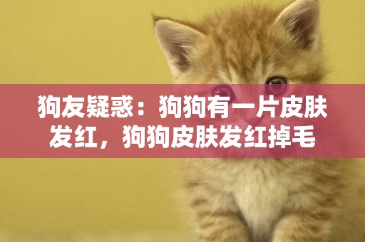 狗友疑惑：狗狗有一片皮膚發紅，狗狗皮膚發紅掉毛