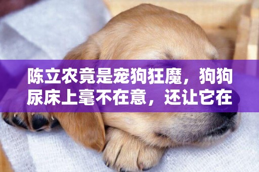 陳立農竟是寵狗狂魔，狗狗尿床上毫不在意，還讓它在身上亂蹭