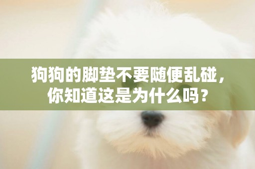 狗狗的腳墊不要隨便亂碰，你知道這是為什么嗎？