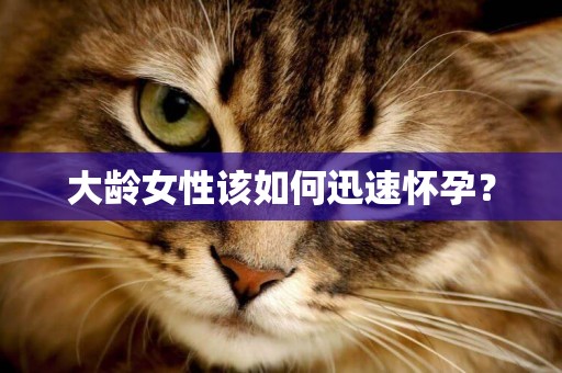 大齡女性該如何迅速懷孕？