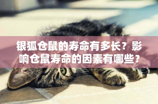 銀狐倉鼠的壽命有多長？影響倉鼠壽命的因素有哪些？
