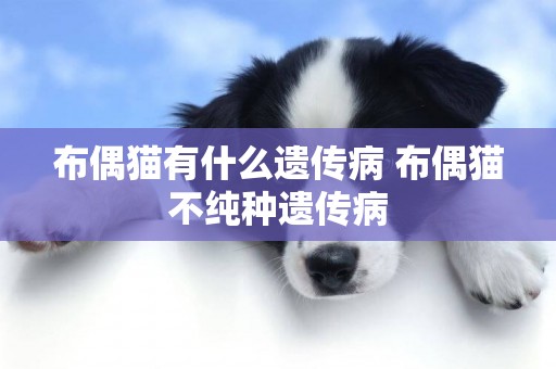 布偶貓有什么遺傳病 布偶貓不純種遺傳病