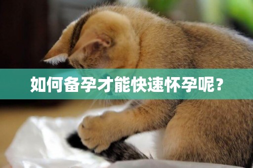 如何備孕才能快速懷孕呢？