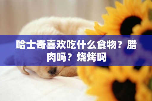 哈士奇喜歡吃什么食物？臘肉嗎？燒烤嗎
