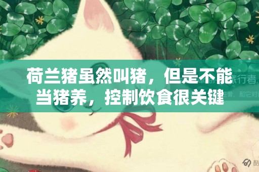 荷蘭豬雖然叫豬，但是不能當豬養，控制飲食很關鍵