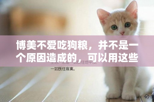 博美不愛吃狗糧，并不是一個原因造成的，可以用這些方法解決