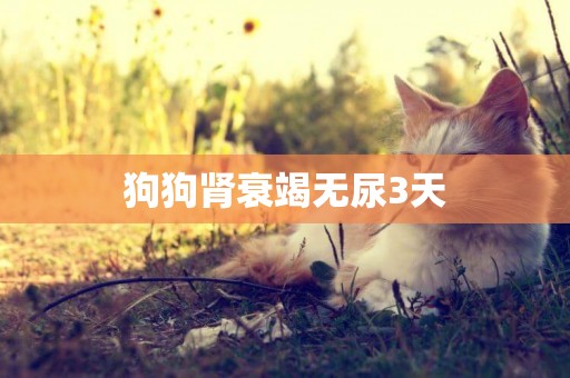 狗狗腎衰竭無尿3天