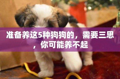 準備養這5種狗狗的，需要三思，你可能養不起