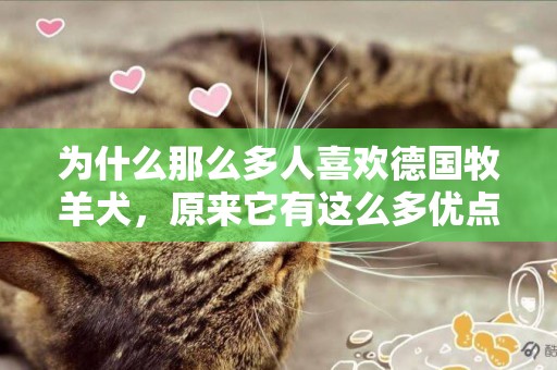 為什么那么多人喜歡德國牧羊犬，原來它有這么多優點？