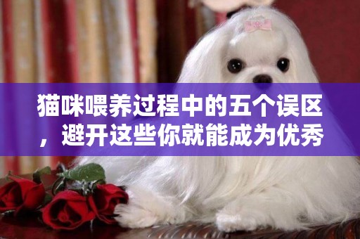 貓咪喂養過程中的五個誤區，避開這些你就能成為優秀鏟屎官