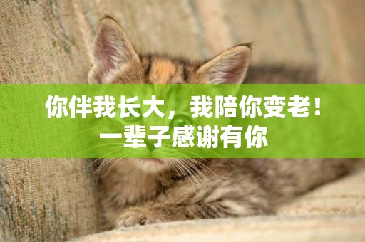 你伴我長大，我陪你變老！一輩子感謝有你