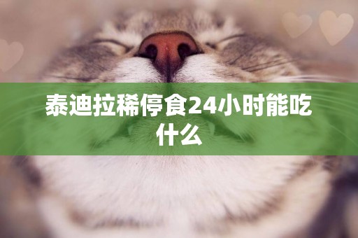 泰迪拉稀停食24小時能吃什么